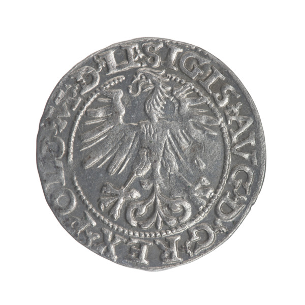 Lithuanian half-grosz, Sigismund II Augustus (King of Poland; 1544–1572). Obverse: Polish Eagle; in