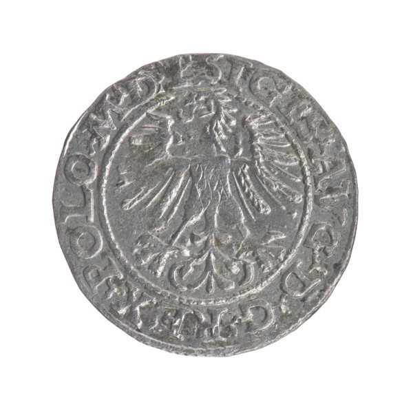 Lithuanian half-grosz, Sigismund II Augustus (King of Poland; 1544–1572). Obv.: Polish Eagle; in