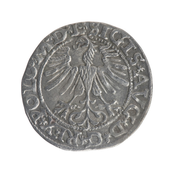 Lithuanian half-grosz, Sigismund II Augustus (King of Poland; 1544–1572); maker: Gabriel Tarlo (ca.