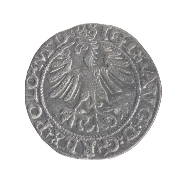 Lithuanian half-grosz, Sigismund II Augustus (King of Poland; 1544–1572), maker: Gabriel Tarlo (ca.