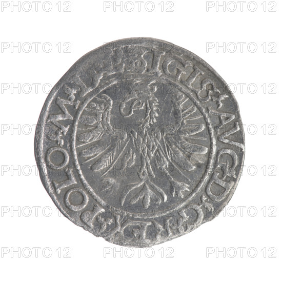 Lithuanian half-grosz, Sigismund II Augustus (King of Poland; 1544–1572), struck by Myszkowski,
