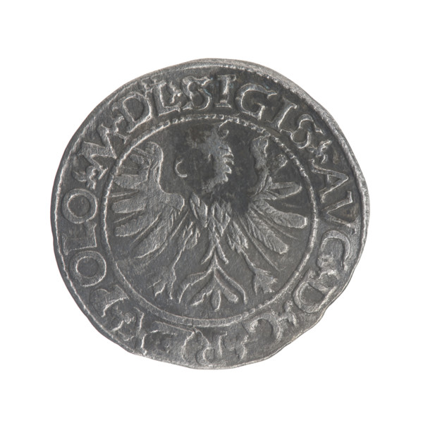 Lithuanian half-grosz, Sigismund II Augustus (King of Poland; 1544–1572). Obverse: Polish Eagle