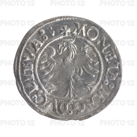 Lithuanian halfgrosz, Sigismund II Augustus (King of Poland; 1544–1572). Obverse: Lithuanian Pogon