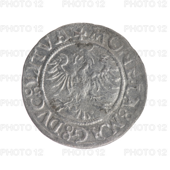 Lithuanian half-grosz, Sigismund II Augustus (King of Poland; 1544–1572). Obverse: Lithuanian Pogon