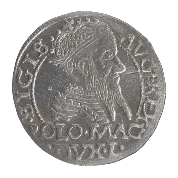 Lithuanian grosz on a Polish foot, Sigismund II Augustus (King of Poland; 1544–1572). Obverse: