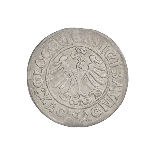Glogów grosz, Sigismund I the Old (King of Poland; 1506–1548), horses, eagles, Pogon (coat of