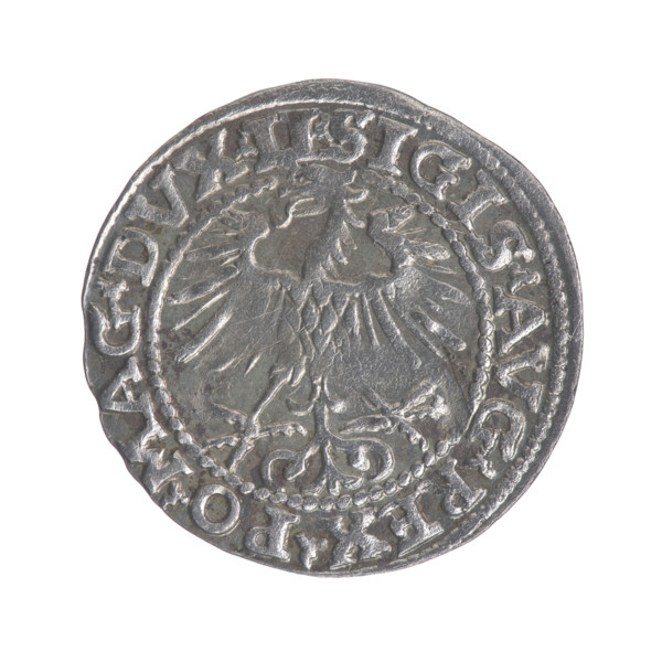 Lithuanian half-grosz, Sigismund II Augustus (King of Poland; 1544–1572). Obverse: Polish Eagle; in