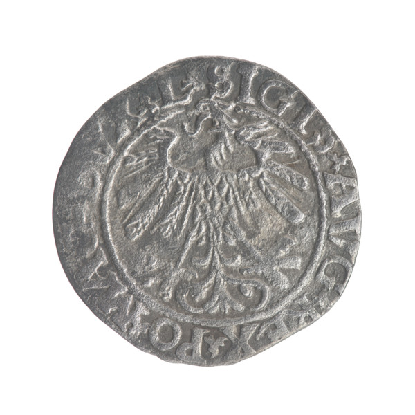 Lithuanian half-grosz, Sigismund II Augustus (King of Poland, 1544–1572). Obverse: Polish eagle; in