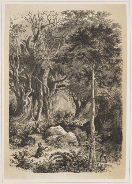 The Interior of the Indian Jungle, EAS (Russian lithographer; fl. ca. 1850–1870). The view shows