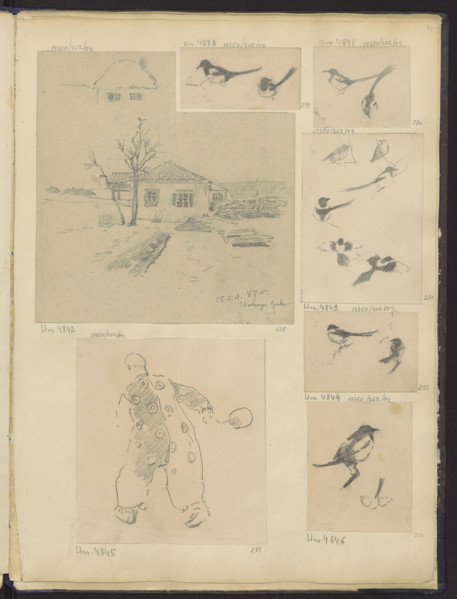 Clown, Tanski, Czeslaw (1862–1942), illustrator; 1884–1887; drawing; height 16.4 cm, width 15.1 cm;