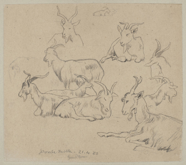Goat studies; Hans Thoma (1839–1924), illustrator; subject: animals—goats; location depicted: Ponte