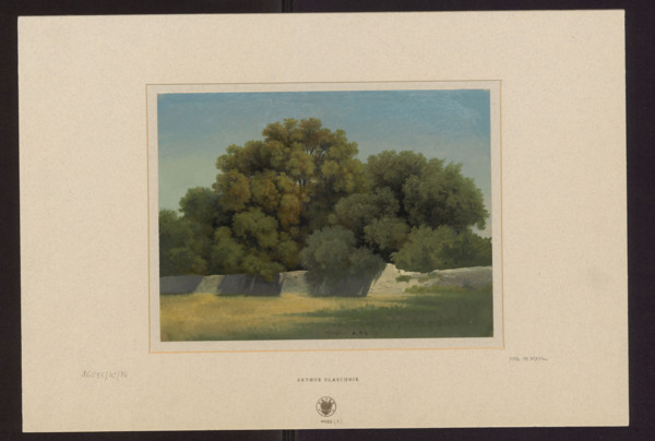 Wall separating a meadow and a clump of trees near Albano; Arthur Blaschnik (1823–1918),