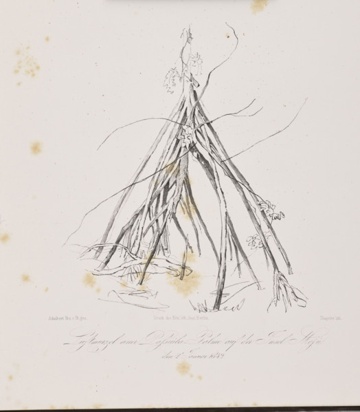 1) Tree trunk on the island of Tuaimaiduba, December 30, 1842; 2) Roots of the passuiba palm on the