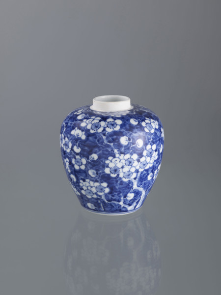 Ginger vessel with lid; Chinese; Qing (1644–1911); spice vessel; decorative vessel; cracked ice
