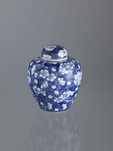 Ginger vessel with lid; Chinese; Qing dynasty (1644–1911); 19th century; spice vessel/decorative