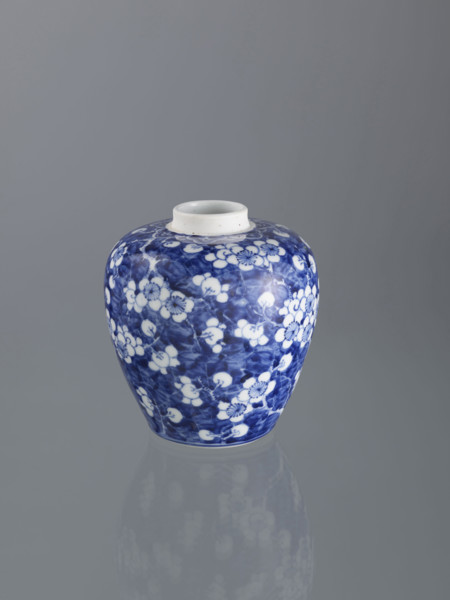 Ginger vessel with lid; Chinese; Qing dynasty (1644–1911); 19th century; spice vessel / decorative