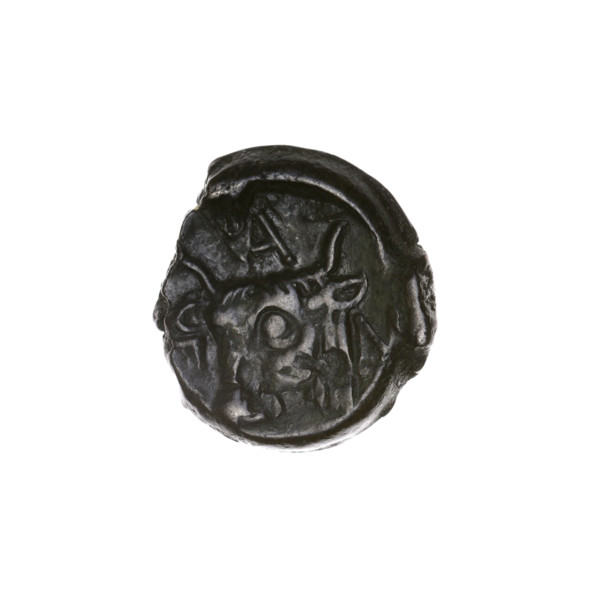 Bronze coin, Pantikapaion; obverse: head of bearded Satyr to the left; reverse: bull head to the