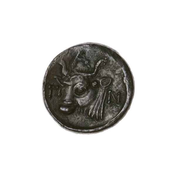 Bronze coin, Pantikapaion; obverse: head of bearded Satyr facing left; reverse: bull head facing