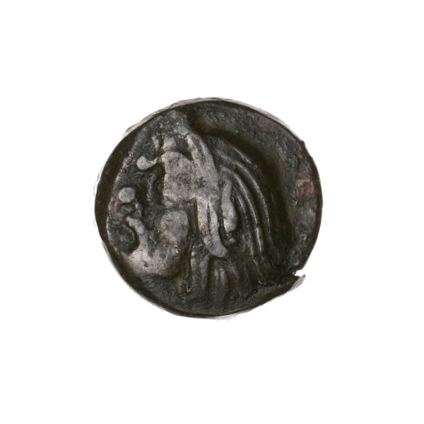 Bronze coin, Pantikapaion; obverse: head of bearded Satyr facing left; reverse: bull head facing