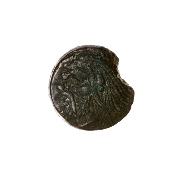 Bronze coin, Pantikapaion; obverse: head of bearded satyr to left; reverse: bull head to left with