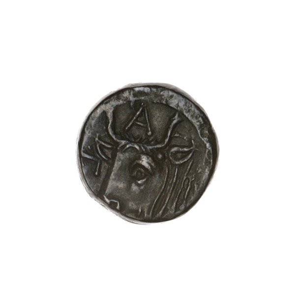 Bronze coin, Pantikapaion; obverse: head of bearded Satyr facing left; reverse: bull's head facing