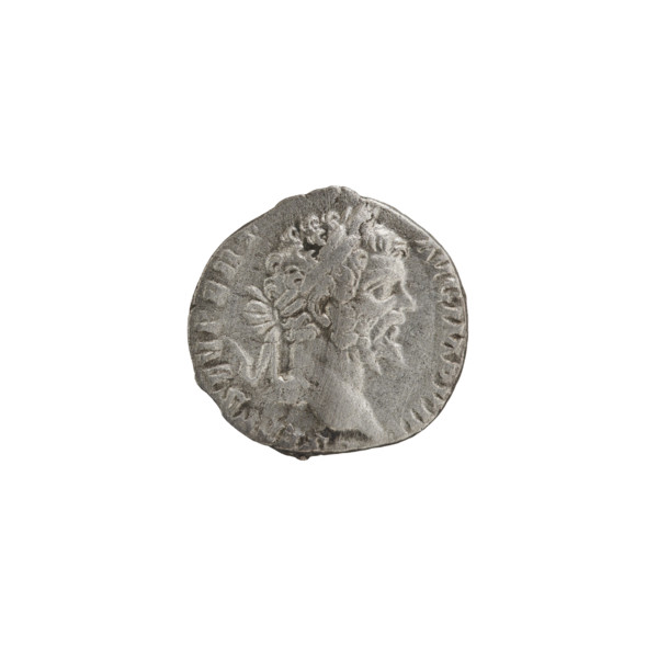 Denarius, Septimius Severus (146–211; Roman emperor 193–211), issuer: Septimius Severus. Obverse:
