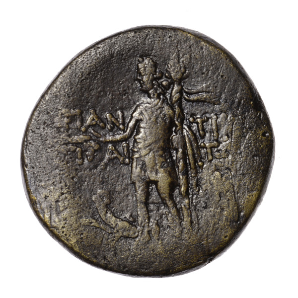 Bronze coin, Pantikapaion; 1st quarter of the 1st century BC (95–65 BC according to Frolov 2002 and