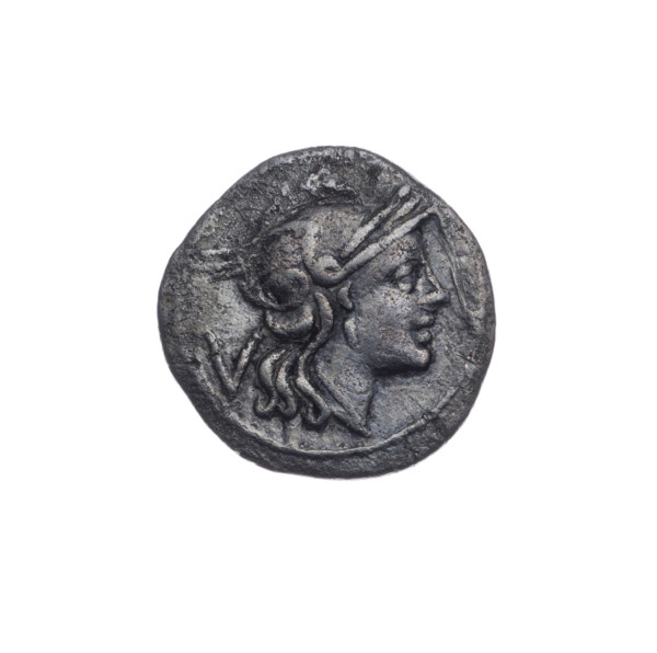 Quinary, publisher; Dioscuri on horses; Dioscuri (mythology); Roma (mythology). Obverse: head of