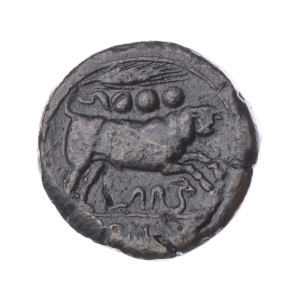 Quarter; obverse: head of Hercules in boar's skin facing right; behind it the value sign ooo.