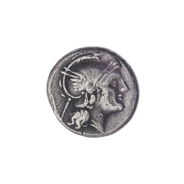 Quinary, publisher, Dioscuri on horses, Roma (mythology), Dioscuri (mythology), Sabbath, Bronislaw