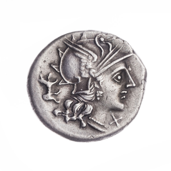 denarius, Dioscuri on horses, origin, horses, Roma (mythology), Dioscuri (mythology), dogs, head of