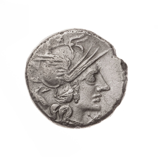 denarius, Iunius, M. (fl. 145 BC), publisher; Obv. Head of Roma in helmet facing right; behind her