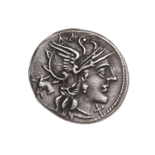 Denarius; issuer: M. Iunius (fl. 145 BC); obverse: helmeted head of Roma right, donkey's head