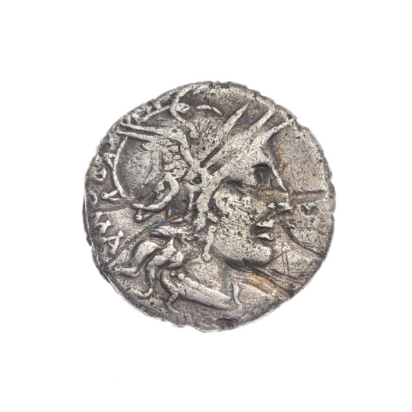 Denarius, M. Tullius (publisher), c. 120 BC. Obverse: Head of Roma in a helmet at right; behind her
