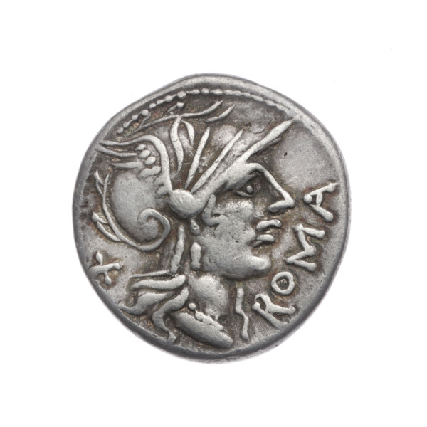 Denarius, Cn. Domitius Ahenobarbus (publisher, fl. 118–96 BC; politician, consul). Obverse: