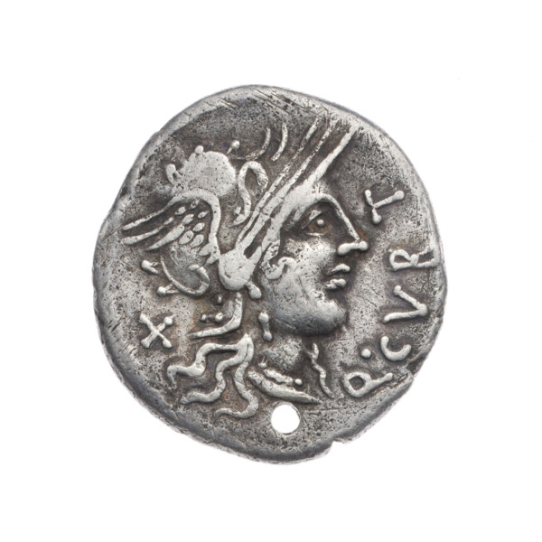 Denarius; publishers Q. Curtius and M. Silanus (fl. 116–115 BC). Obverse: Helmeted head of Roma
