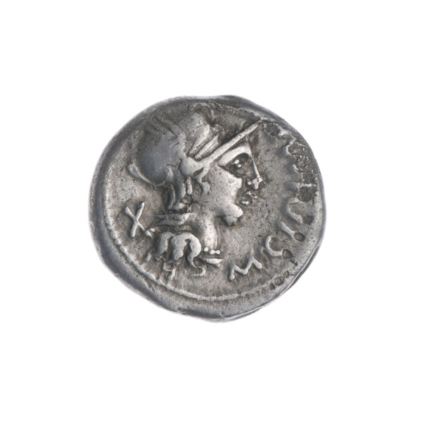Denarius, Cipius, M. (fl. 115–114 BC), publisher; obverse: head of Roma in a helmet facing right,