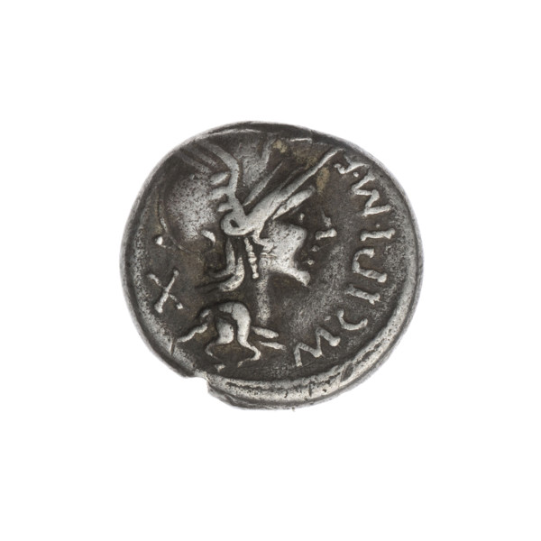 Denarius; maker: M. Cipius (publisher, fl. 115–114 BC). Obverse: Head of Roma wearing helmet facing