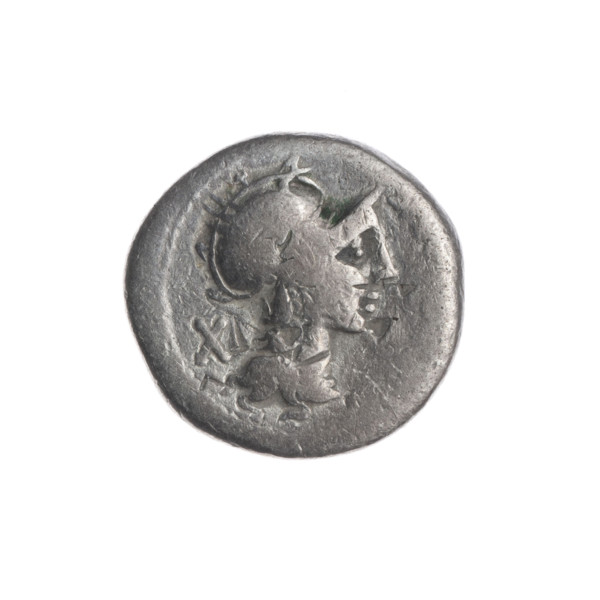 Denarius; issuer: M. Cipius (fl. 115–114 BC), publisher. Obverse: Head of Roma wearing a helmet