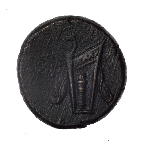 bronze coin, Pantikapaion; obv.: head of young Dionysus in an ivy wreath facing right; reverse: bow