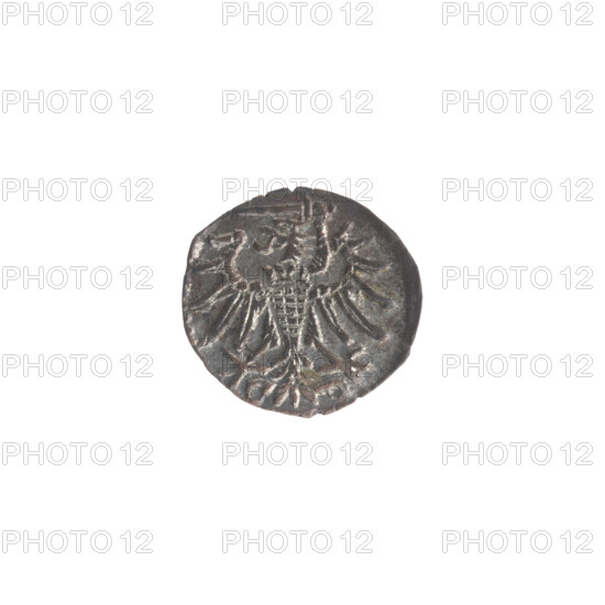 Gdansk denarius, Sigismund II Augustus (King of Poland; 1544–1572). Obverse: in the border the