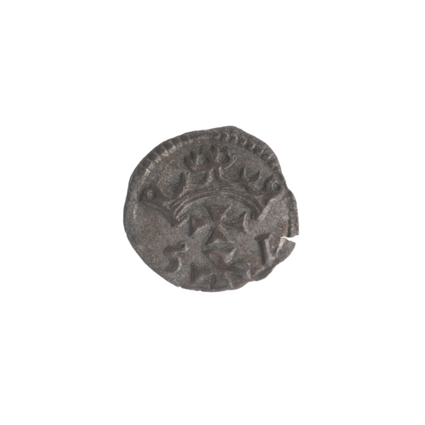 Gdansk denarius, Sigismund II Augustus (King of Poland; 1544–1572). Obverse: in the border the
