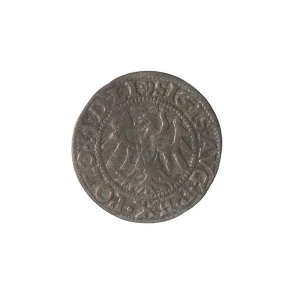 Gdansk szelag, Sigismund II Augustus (King of Poland; 1544–1572). Obv.: Eagle of Royal Prussia; in