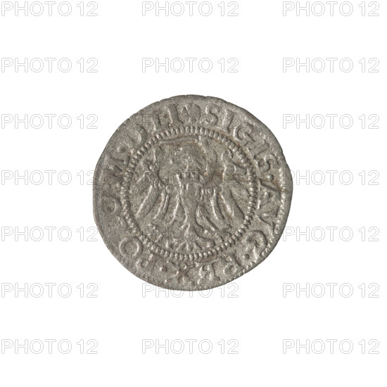 Gdansk szelag, Sigismund II Augustus (King of Poland; 1544–1572). Obverse: Eagle of Royal Prussia;