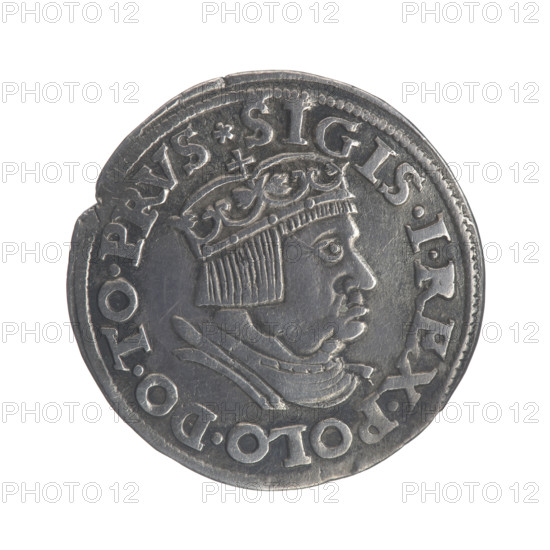 Gdansk trojak (grosz), 1536. Obverse: Crowned male bust in profile turned right, inscription around