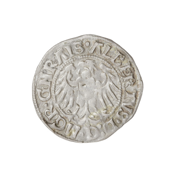 Teutonic groschen, Albrecht Hohenzollern (prince in Prussia; Grand Master; 1490–1568). Obverse: