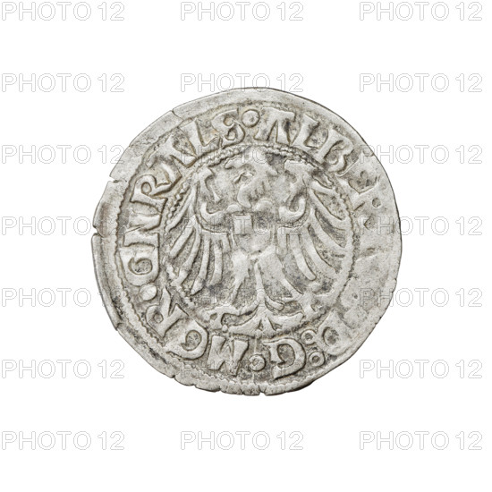 Teutonic groschen, Albrecht Hohenzollern (prince in Prussia; Grand Master; 1490–1568). Obverse: