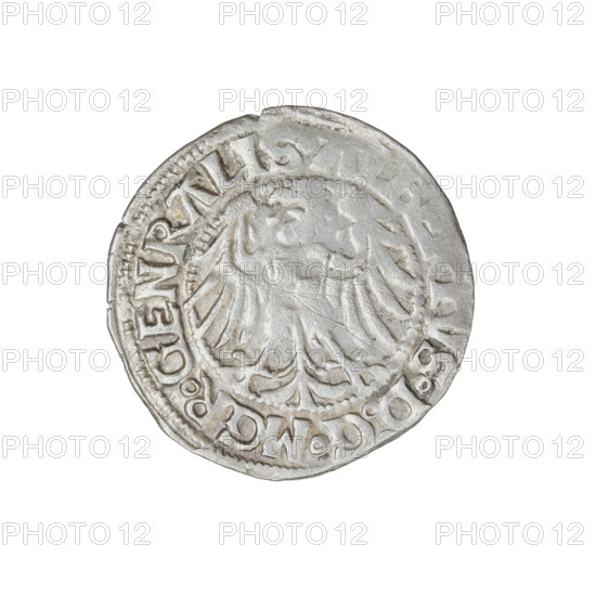 Teutonic groschen, Albrecht Hohenzollern (prince in Prussia; Grand Master; 1490–1568). Obverse: