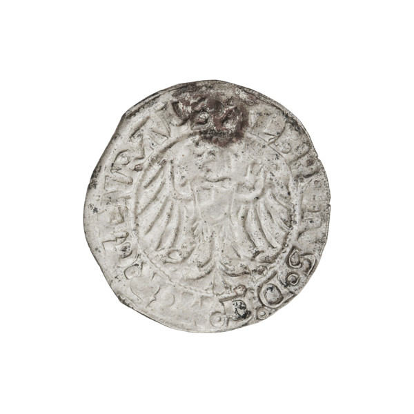 Teutonic groschen, Albrecht Hohenzollern (prince in Prussia; Grand Master; 1490–1568). Obverse:
