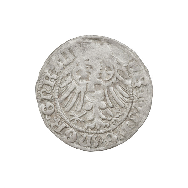 Teutonic groschen, Albrecht Hohenzollern (prince in Prussia; Grand Master; 1490–1568). Obverse: